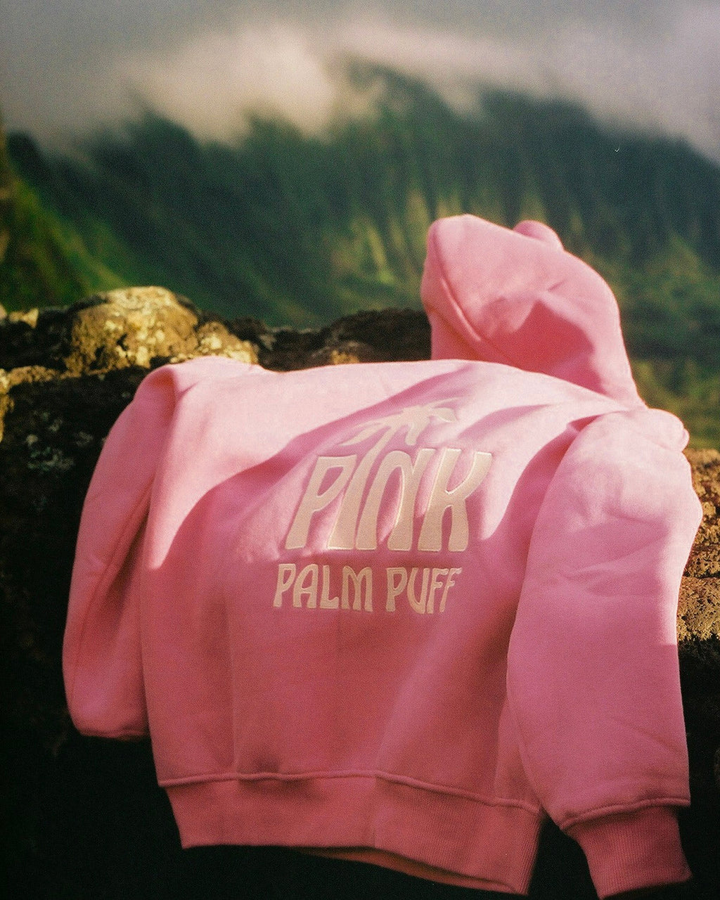 Pink Palm Puff Classic Puff Hoodie in Raspberry